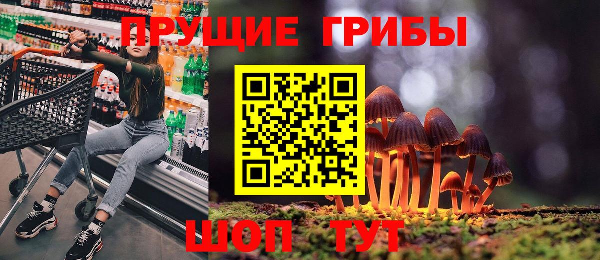 Псилоцибиновые грибы Psilocybine cubensis Ессентуки