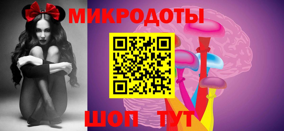 Ессентуки  Псилоцибиновые грибы Psilocybe  Вход с VPN 